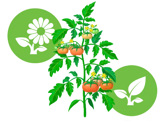 greenplanet plant additives