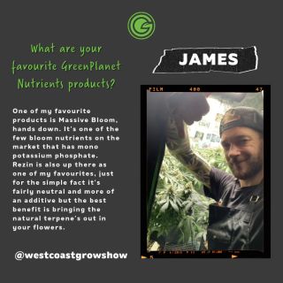 This is what our GP grower James @westcoastgrowshow had to say, when we asked the following question: what are your favourite GreenPlanet Nutrients products?

"One of my favourite products is Massive Bloom, hands down. It’s one of the few bloom nutrients on the market that has mono potassium phosphate. Rezin is also up there as one of my favourites, just for the simple fact it’s fairly neutral and more of an additive but the best benefit is bringing the natural terpene’s out in your flowers."

#greenplanetnutrients #mygreenplanet #gpgrown #greenplanet #nutrients #clean #conscious #canadian #fertilizer #yields #garden #gardening #grow #growers #indoorgarden #outdoorgarden #hydroponics #quality #craft #innovation #hobby #commercial #community #purity #harvest