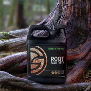 Root Builder is formulated with extremely active beneficial organisms that deliver an abundance of benefits to your plant’s root zone.

Root Builder introduces two key forms of beneficial bacteria to your grow medium: Bacillus licheniformis and Bacillus subtilis.

Bacillus licheniformis will help break down elements so your plant can use its energy on other important plant functions, such as producing big, beautiful flowers.

Bacillus subtilis is an extremely strong beneficial bacteria that focuses on boosting natural defences. It will also produce molecules called iturins that will target harmful microorganisms in the rhizosphere and eliminate them. Together, these organisms perform as a microbial soil amendment, which improves the conversion of organic and inorganic fertilizers into plant-available forms for more efficient nutrient uptake. 

This helps the plant absorb the essential nutrients it needs for vigorous foliage growth during the vegetative stage and intense fruiting during the flowering stage. Adding these beneficial bacteria will lead to an improved soil structure, retention of soil moisture, and will treat pH related issues in the grow media. All these benefits ensure your plants grow bigger roots for bigger fruits.

Shop now at: https://greenplanetnutrients.com/product/greenplanet-nutrients-root-builder/

#greenplanetnutrients #mygreenplanet #gpgrown #greenplanet #nutrients #clean #conscious #canadian #fertilizer #yields #garden #gardening #grow #growers #indoorgarden #outdoorgarden #hydroponics #quality #craft #innovation #hobby #commercial #community #purity #harvest