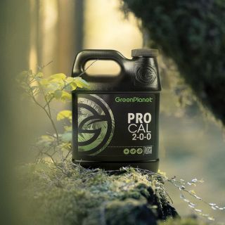 Pro Cal is an excellent supplemental source of essential elements that plants require at all stages of growth. Our formula provides readily available calcium and magnesium, as well as iron, nitrogen, boron, and zinc to ensure your plants do not come up short when they are ready for rapid growth.

Plants undergo a large amount of stress and rapid assimilation of nutrients in their goal to build cell walls, produce chlorophyll, conduct photosynthesis, and perform other key plant functions.

Two crucial elements your plants require for these activities are calcium (Ca) and magnesium (Mg). Calcium is an essential part of the plant’s cell wall structure where it forms the glue that holds cells together, making it essential for new growth. It also improves the absorption of other nutrients by the roots and their translocation within the plant. 

Magnesium is the central core of the chlorophyll molecule in the green plant tissue and is essential for photosynthesis. Calcium and magnesium are not very mobile within the plant and need to be in a form that the plant can easily transport and uptake. Pro Cal solves this issue with a readily available calcium source married with extra magnesium.

Shop now at: https://greenplanetnutrients.com/product/greenplanet-nutrients-pro-cal-supplement/

#greenplanetnutrients #mygreenplanet #gpgrown #greenplanet #nutrients #clean #conscious #canadian #fertilizer #yields #garden #gardening #grow #growers #indoorgarden #outdoorgarden #hydroponics #quality #craft #innovation #hobby #commercial #community #purity #harvest