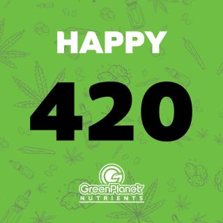 Happy 420, growers! Today's the day to celebrate the leaf in all its glory! Whether you're tending to your plants or partaking in the festivities, GreenPlanet Nutrients has everything you need to ensure your garden is as lush and thriving as ever. Let's make this 420 one for the books with healthy plants and hearty harvests. Keep growing! 

#greenplanetnutrients #mygreenplanet #gpgrown #greenplanet #nutrients #clean #conscious #canadian #fertilizer #yields #garden #gardening #grow #growers #indoorgarden #outdoorgarden #hydroponics #quality #craft #innovation #hobby #commercial #community #purity #harvest